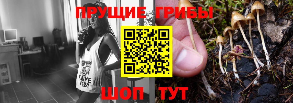 Рубцовск  Псилоцибиновые грибы прущие грибы  Вход с VPN 