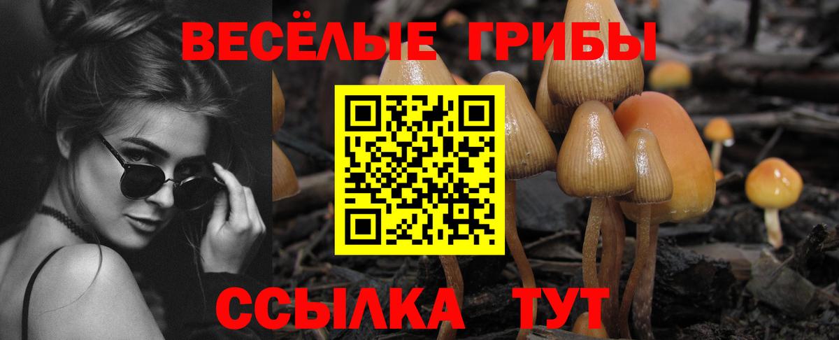 Галлюциногенные грибы MAGIC MUSHROOMS Рубцовск